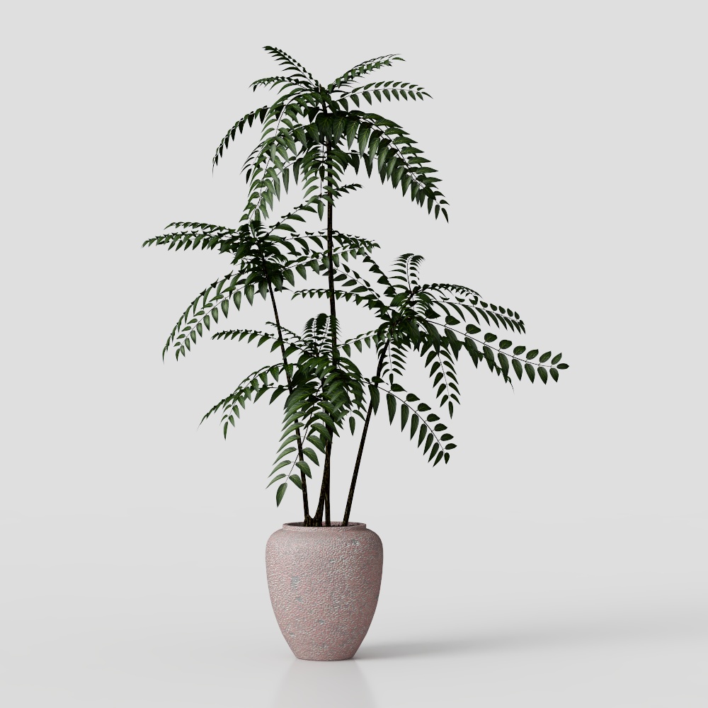 Wabi-sabi green plants potted plants