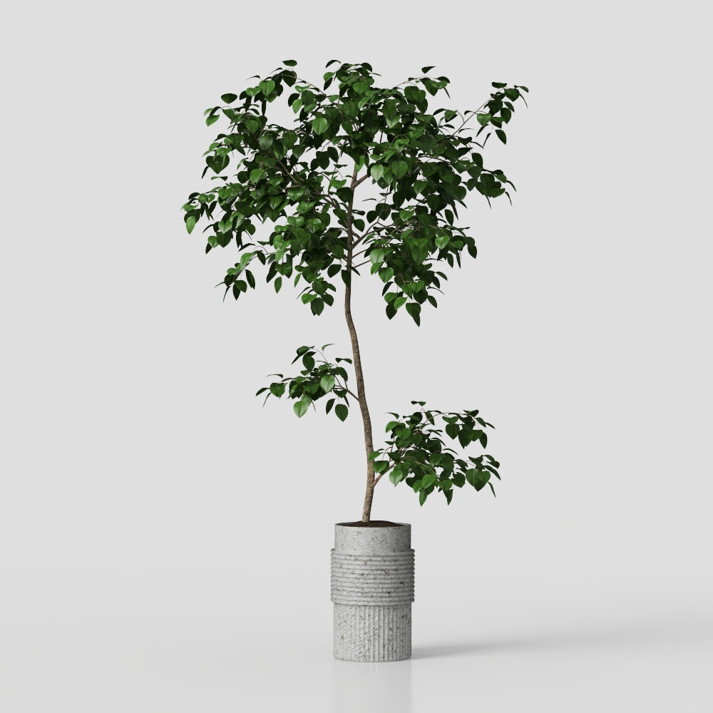 Urban Green Plant 3D Model for Designers and Developers