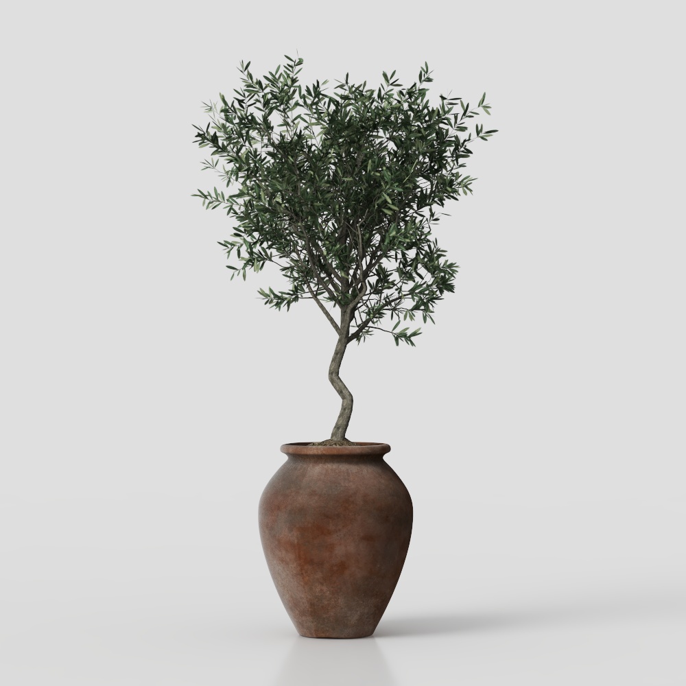 Plantas en Maceta de Estilo Wabi-Sabi