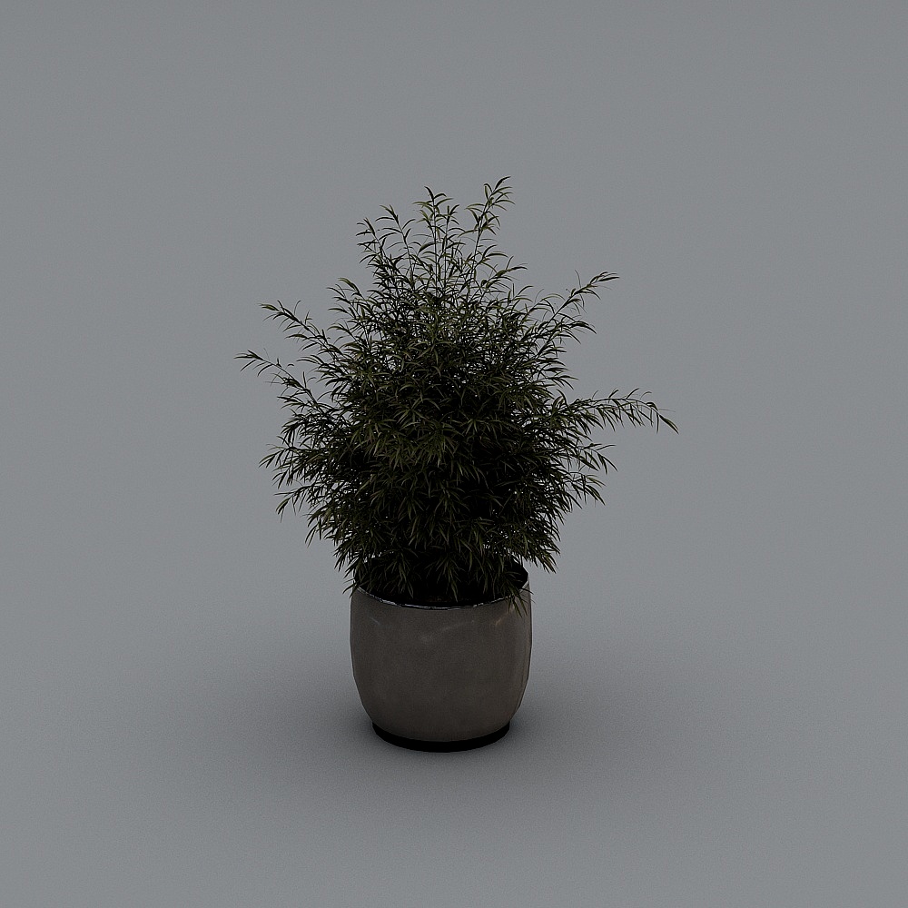 Green plants
