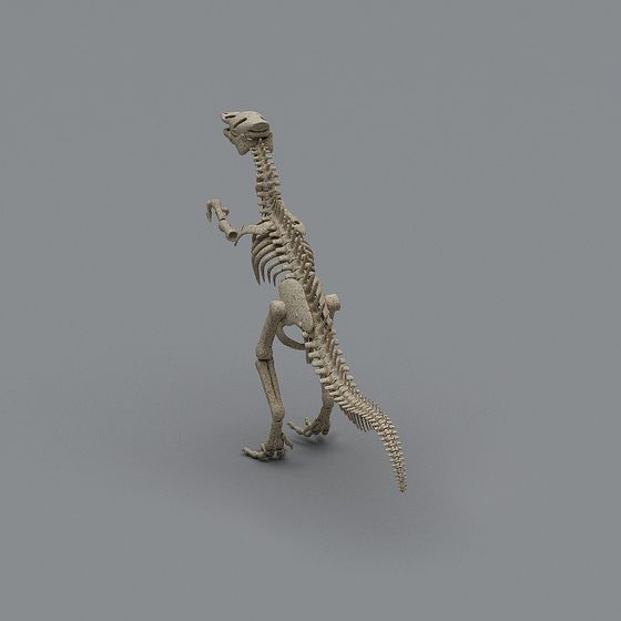 Realistic Dinosaur Skeleton 3D Model