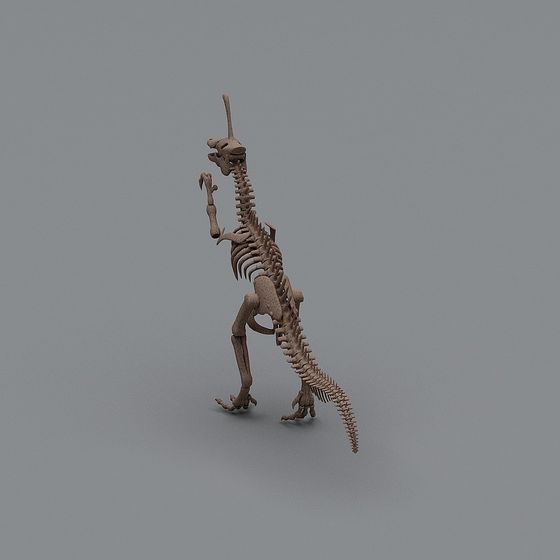 Intricate Dinosaur Skeleton 3D Model