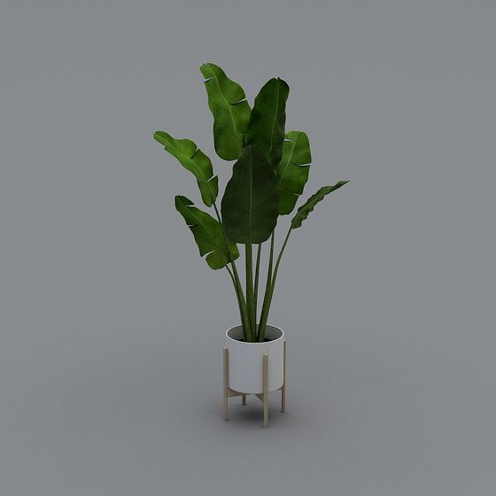 Low-Poly Indoor Plant Pot 3D model