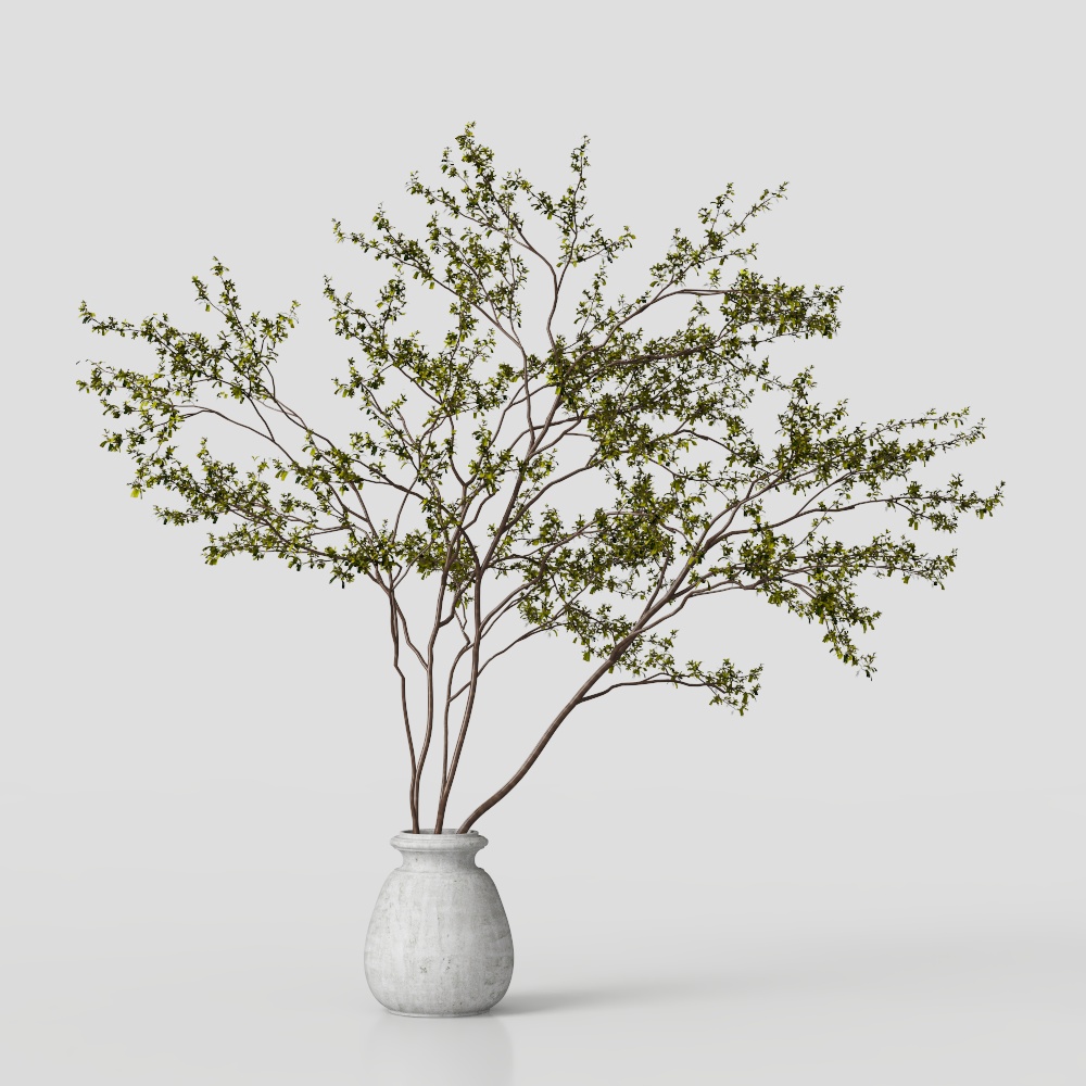 Lively Urban Plant 3D model