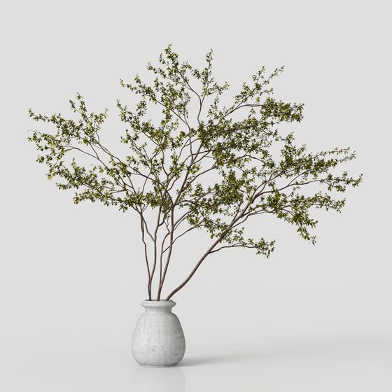 Lively Urban Plant 3D model
