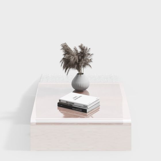 Chic Minimalist Coffee Table 3D model