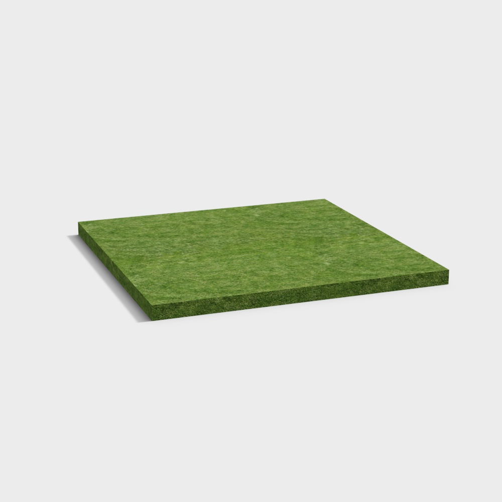 Grass