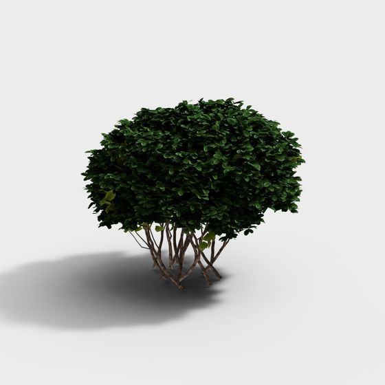 Jungle Spirit Low-Poly 3D Model