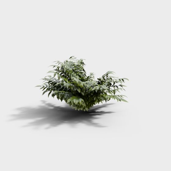 Lush Bush Low Poly 3D Model
