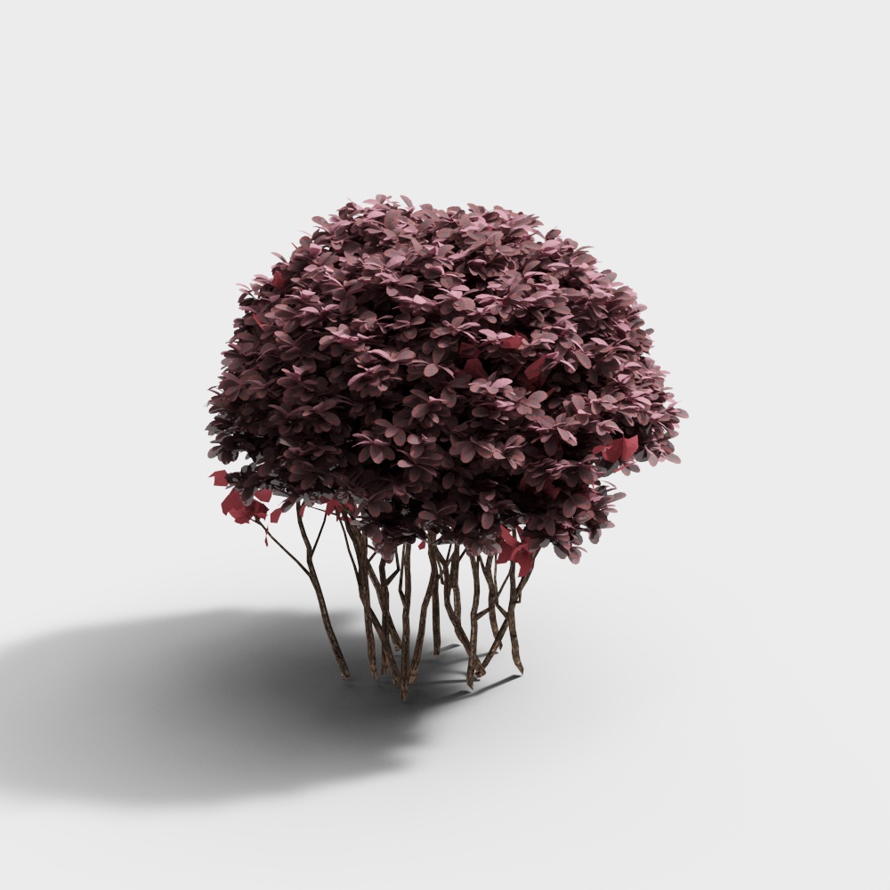 Artistic Purple Leaf Shrub 3D model