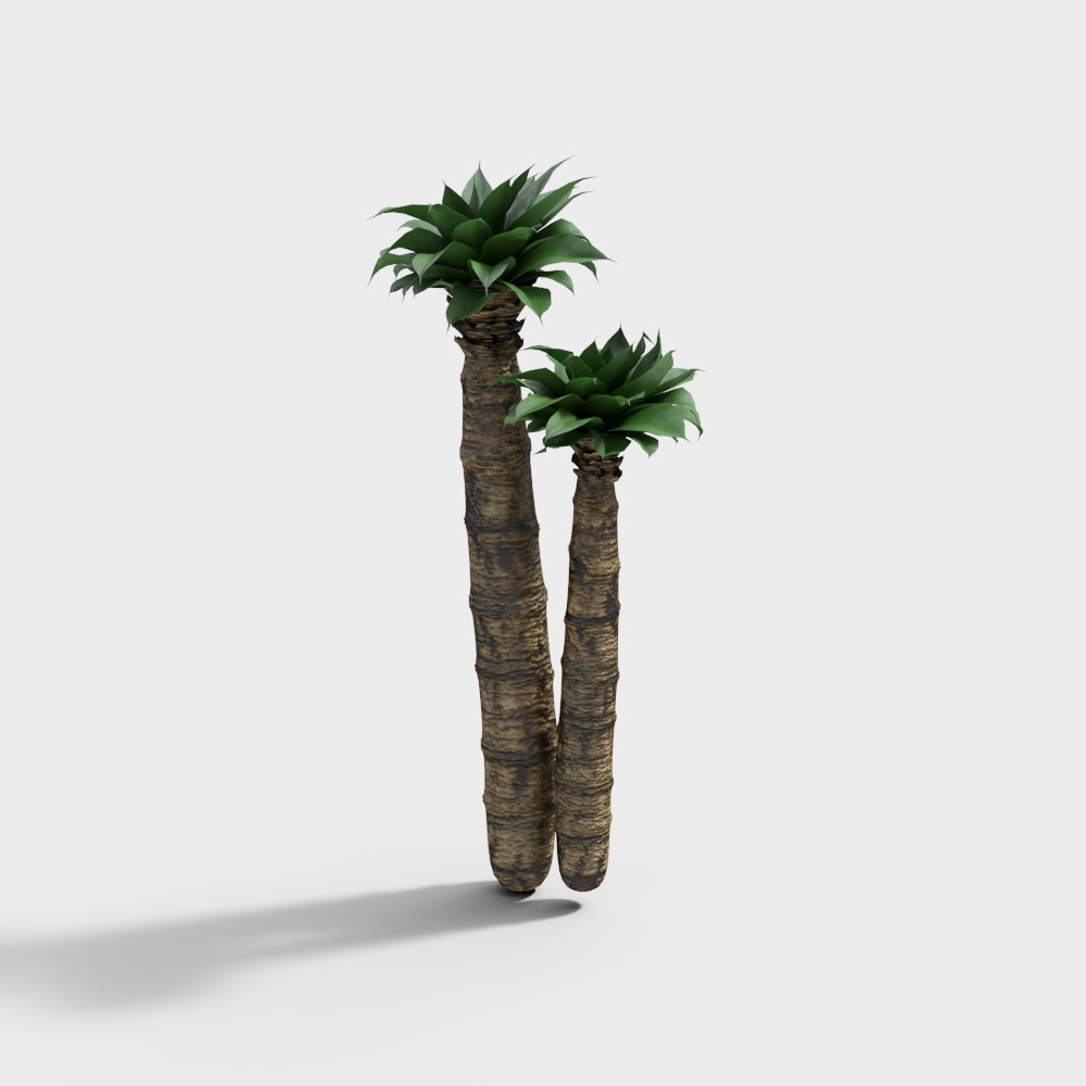 Tropical Palm Tree Twin 3D model