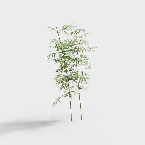 Serene Bamboo Grove 3D Model