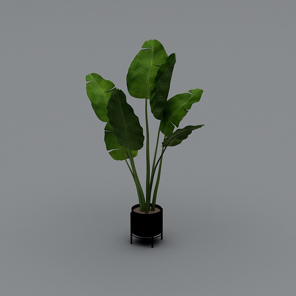 Tropical Green Plant 3D model for Creative Design