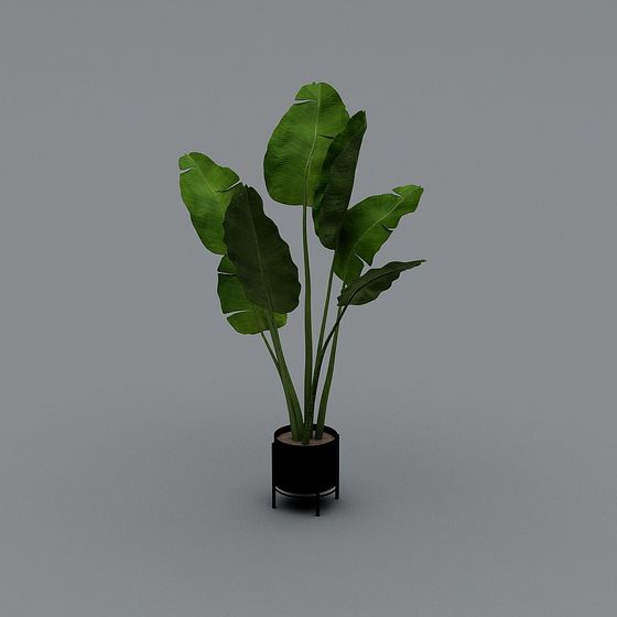 Tropical Green Plant 3D model for Creative Design