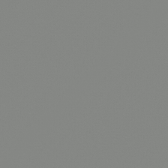 Light Gray Wall Paint for Contemporary Interiors