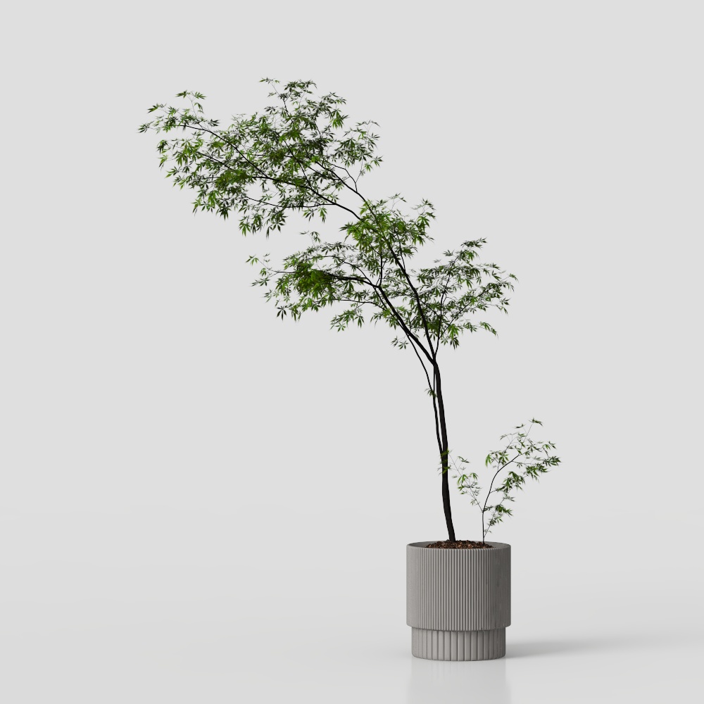 신중국 식물 장식