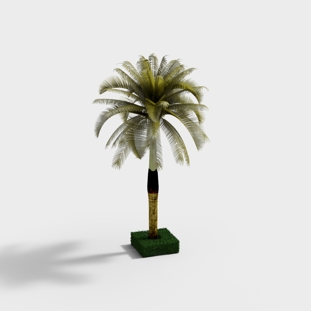 Modern Palm Trees