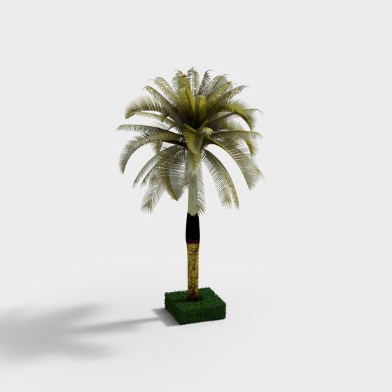 Tropical Charm 3D model