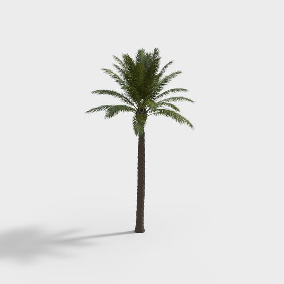 Realistic Low-Poly Palm Tree 3D model