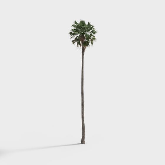 Low-Poly Palm Tree 3D model for Tropical Beaches