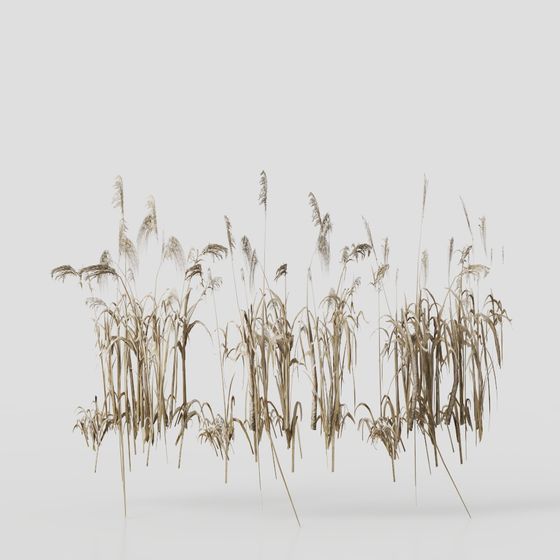 Golden Grass 3D model for Creative Projects