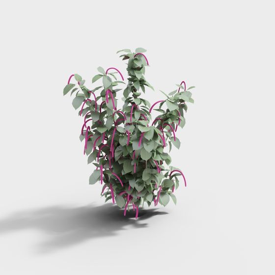 Tropical Vines 3D Model for Creative Projects