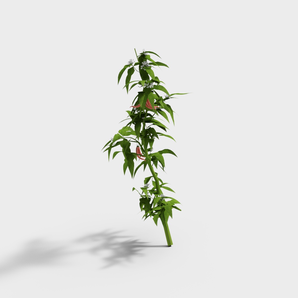 Wildflower Vine Low-Poly Plant 3D model