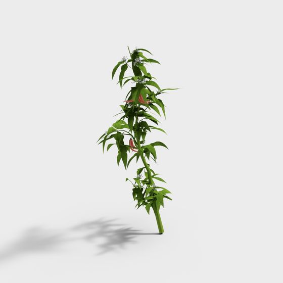 Wildflower Vine Low-Poly Plant 3D model for Creative Projects