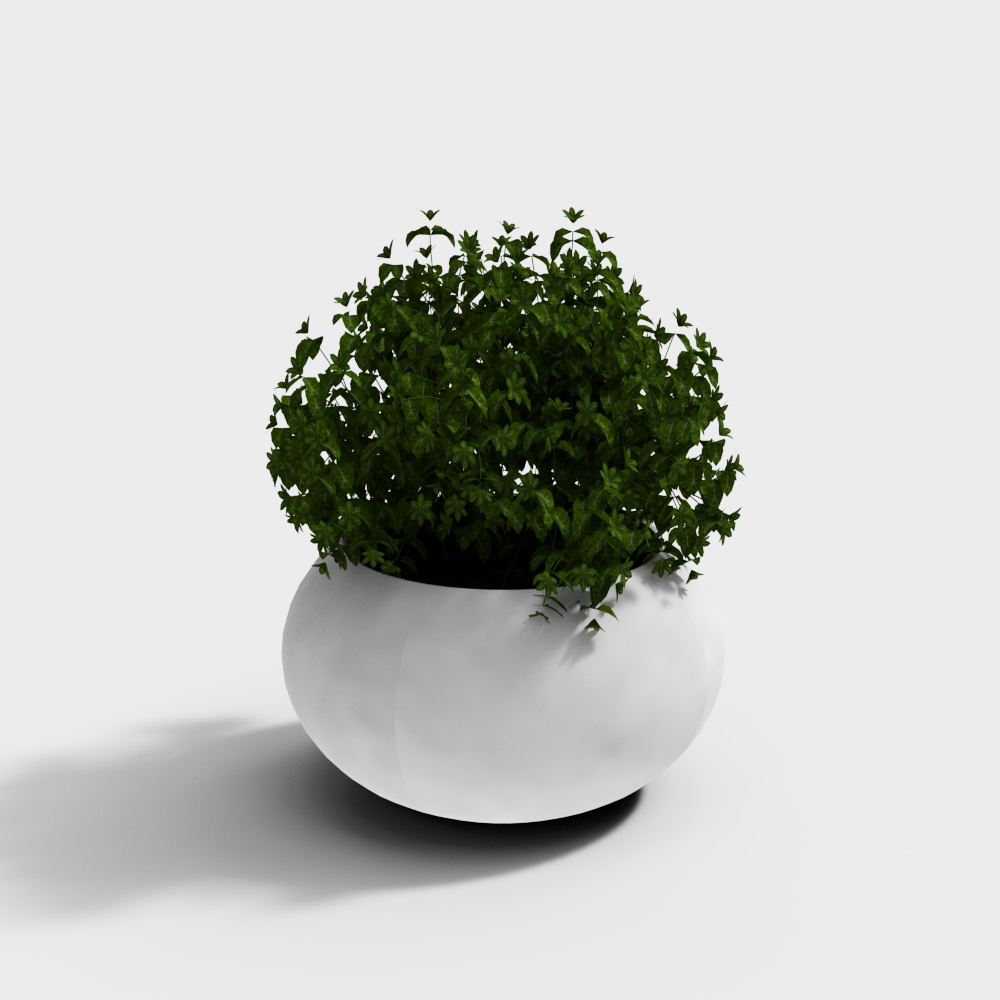 32-potted plant 1