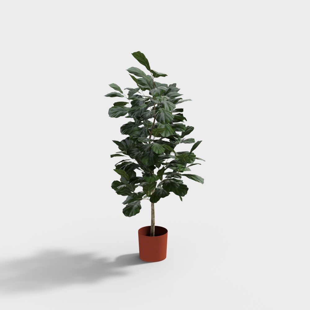 potted plant 3