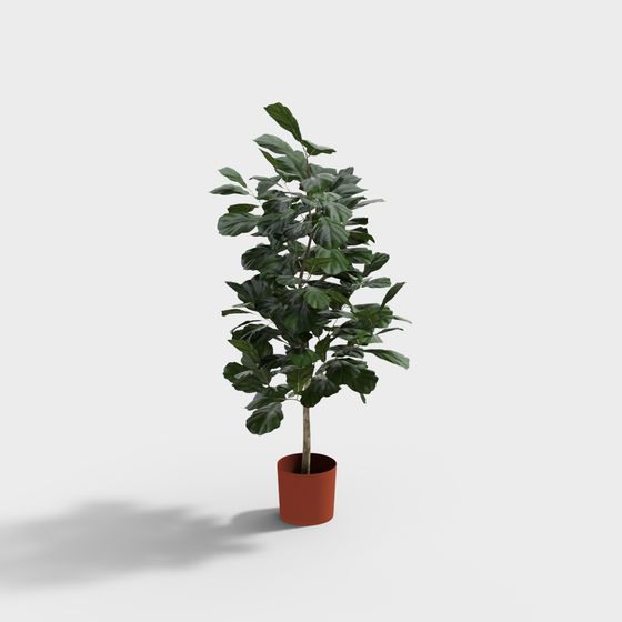 Vibrant Indoor Plant 3D Model for Design Projects