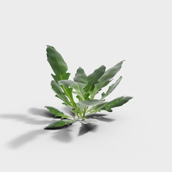 Vibrant Green Plant 3D model for Creative Projects