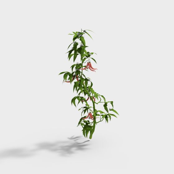 Charming Low-Poly Flower Plant 3D model