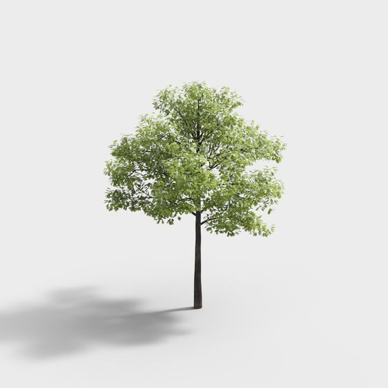 Lifelike Oak Tree 3D model