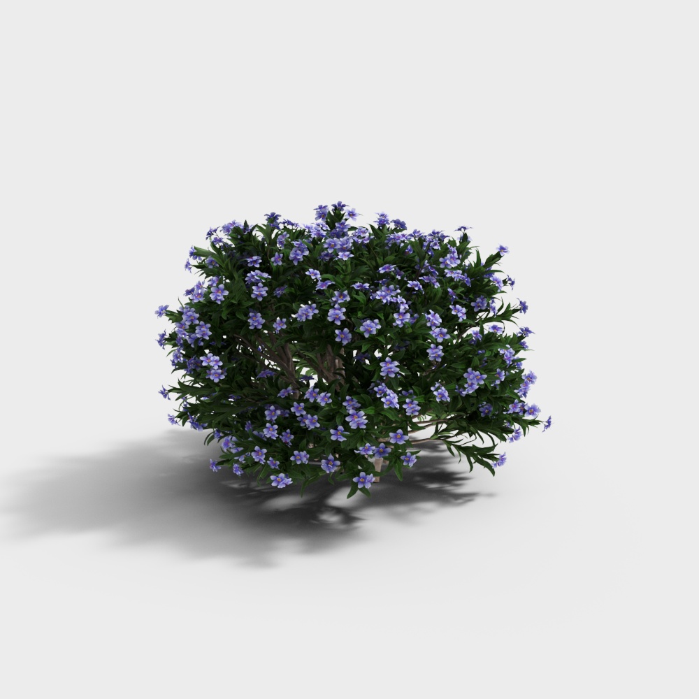 34-Purple flower shrub