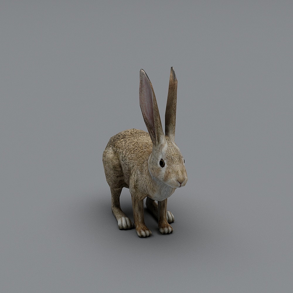 Forest Spirit 3D model