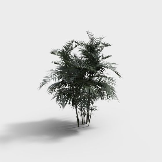 Elegant Palm Tree 3D model for Nature-inspired Designs