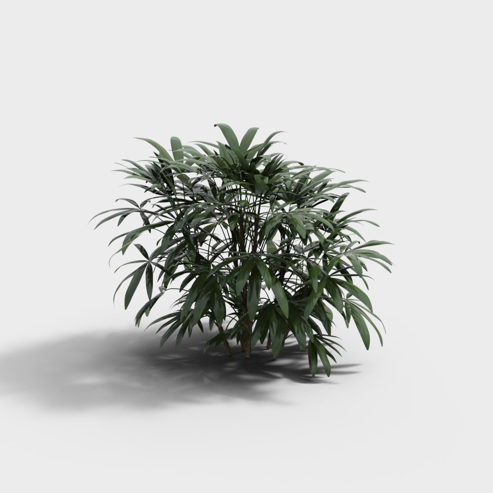 พุ่มไม้ 1