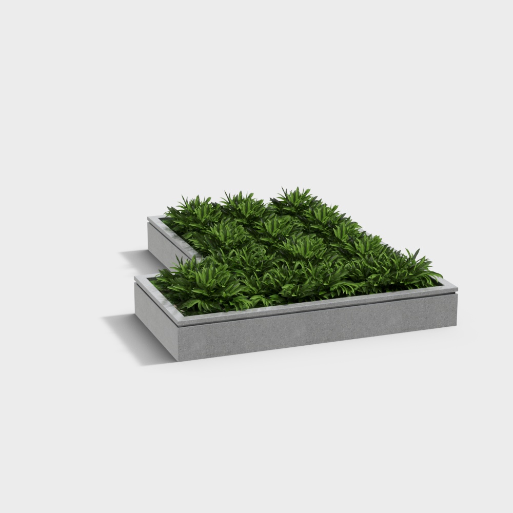 Two rectangular grey concrete planters filled with green leafy plants on white background