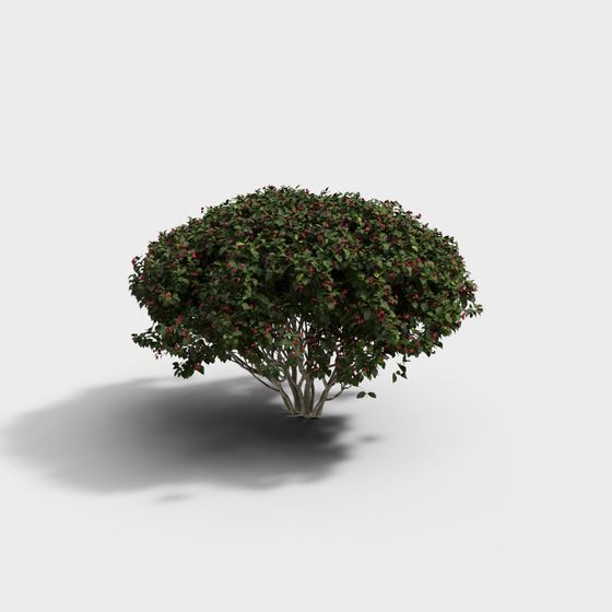 Realistic 3D Model of Lush Shrub
