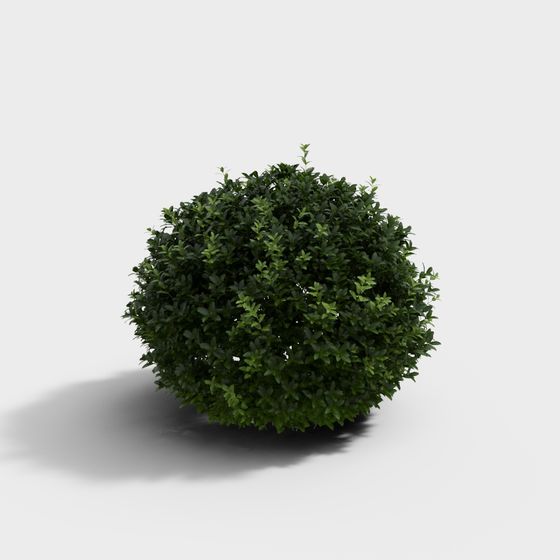 Dome-Shaped Green Plant 3D Model