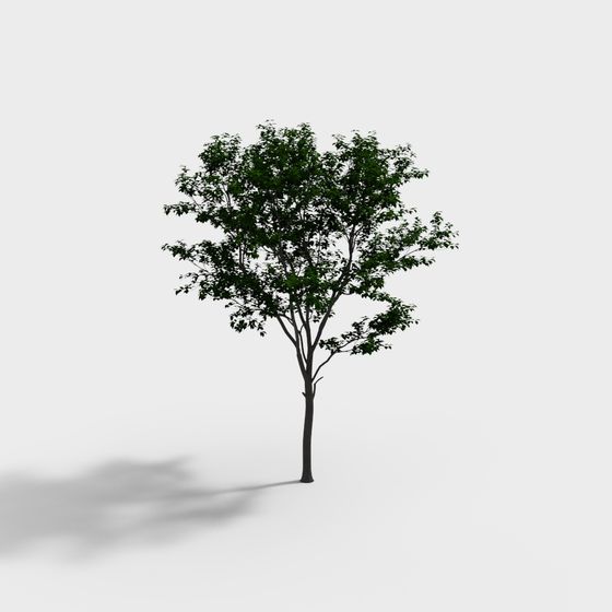 Vibrant 3D Model Tree with Low Poly Design