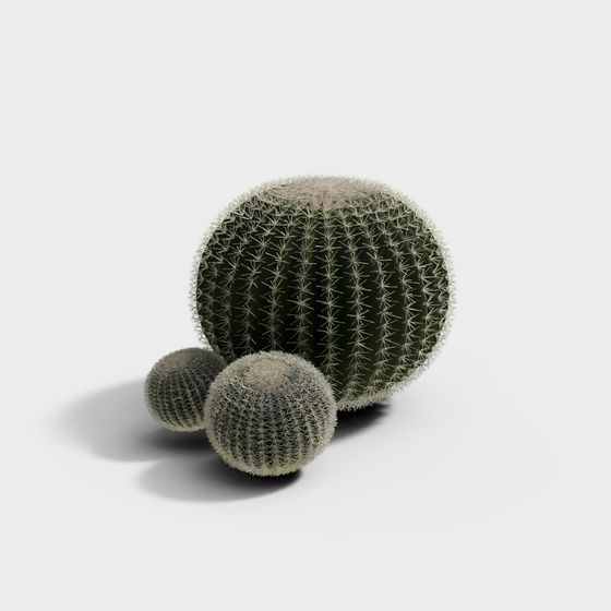 Round Cactus 3D model for Creative Projects