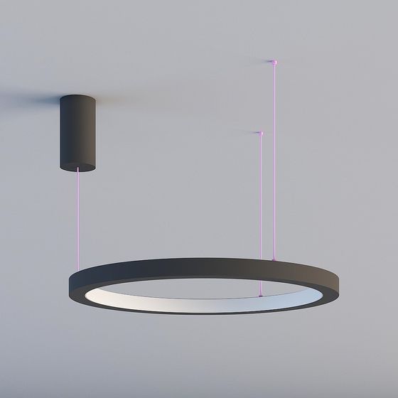 Modern Circular Pendant Light 3D model