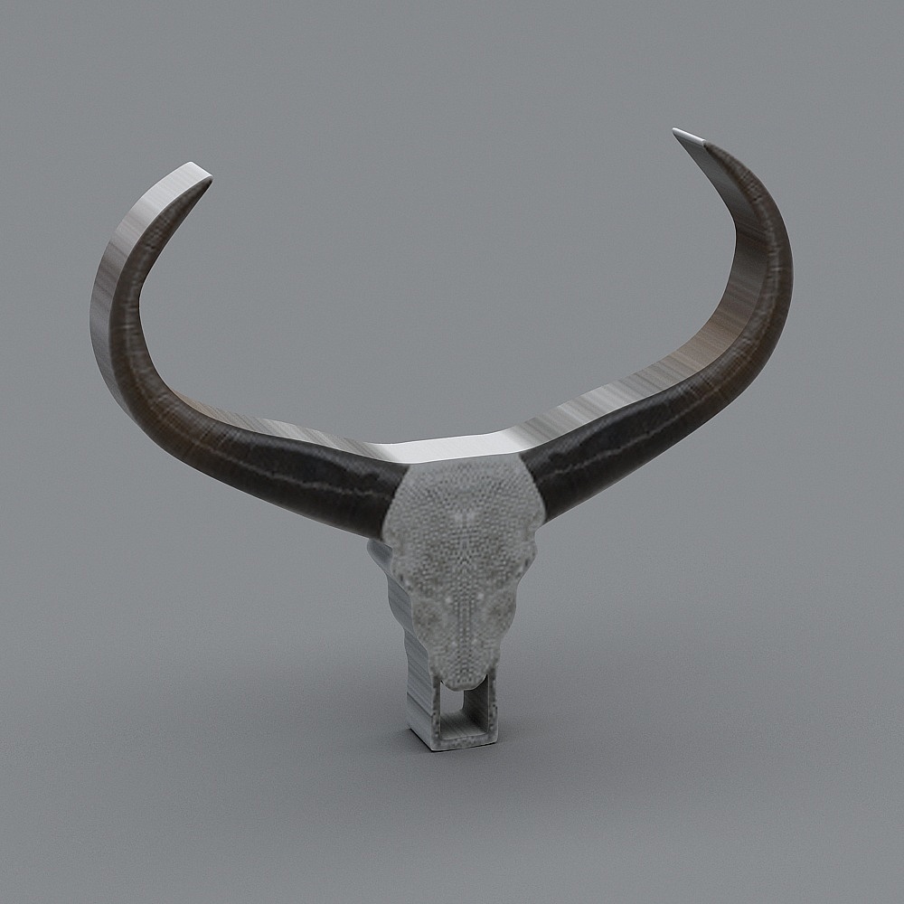 Realistic Longhorn Skull 3D model
