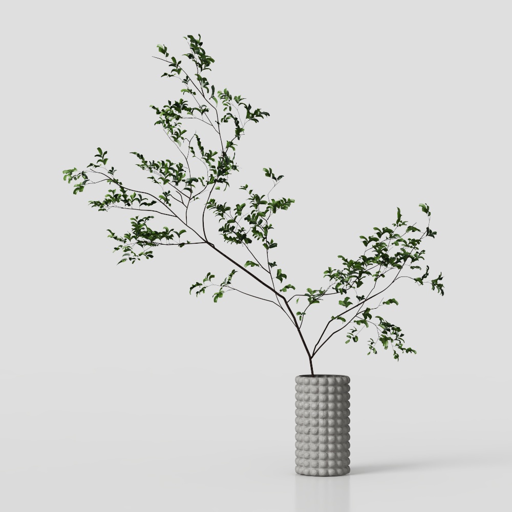 Nature's Essence Indoor Plant 3D Model