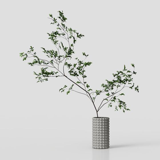 Nature's Essence Indoor Plant 3D Model for Creative Spaces