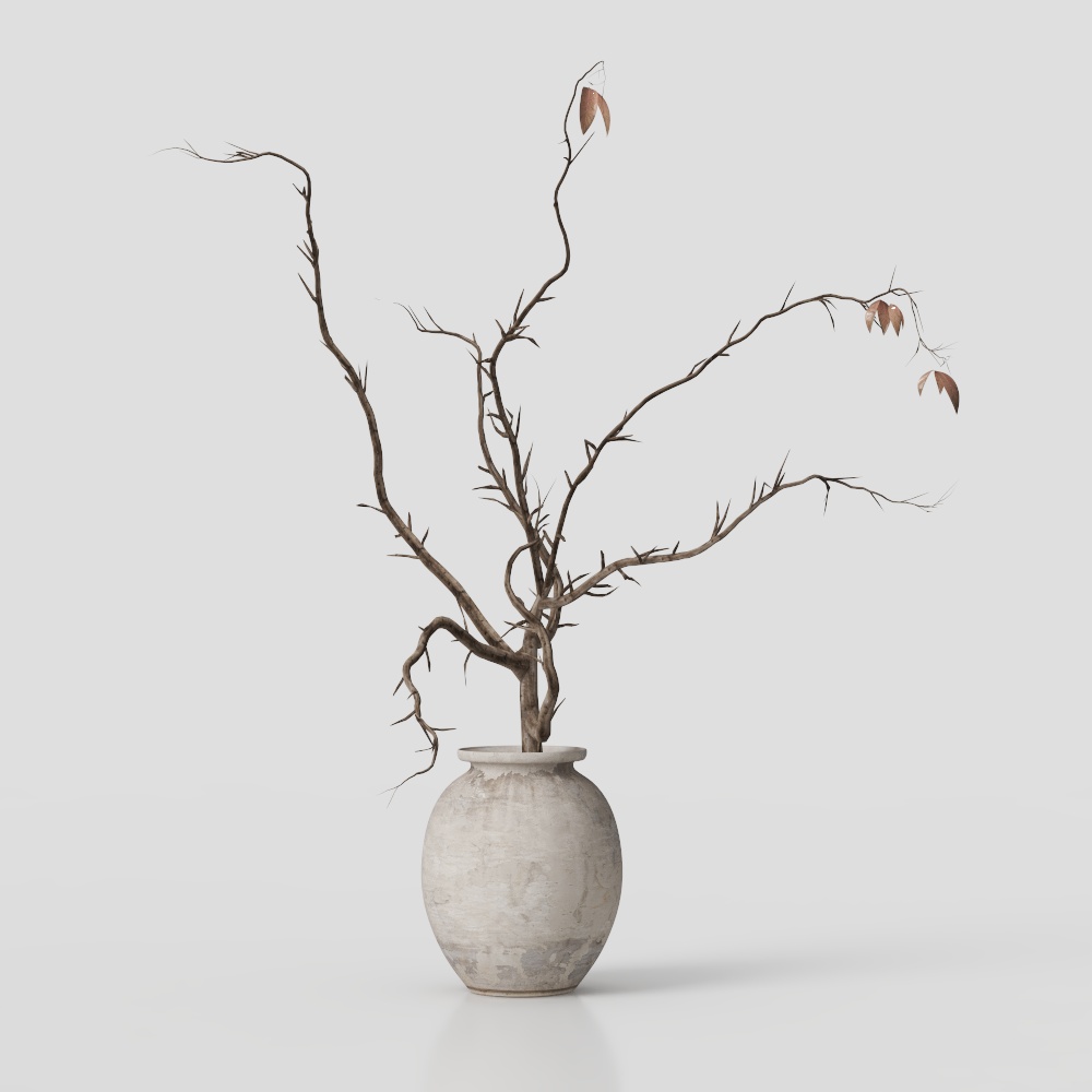 フレンチドライブランチ