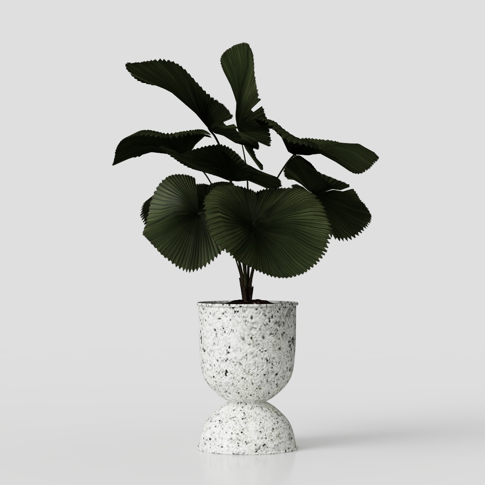 Tropical Potted Plant 3D Model – Low-Poly Green Leaves