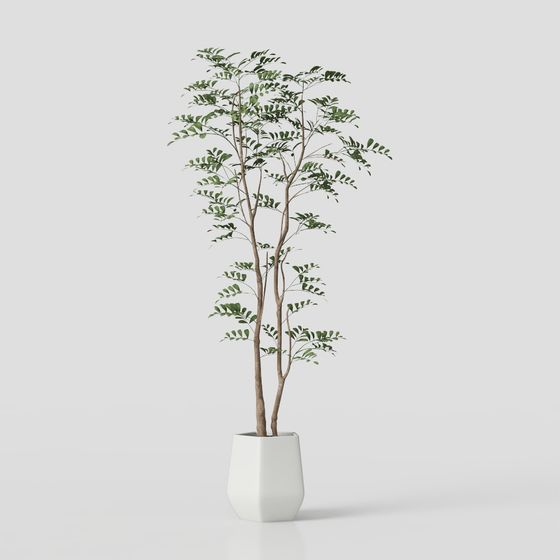 Lively Indoor Plant 3D Model for Modern Spaces